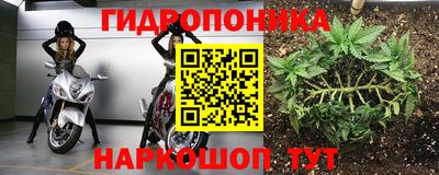 a pvp Кулебаки