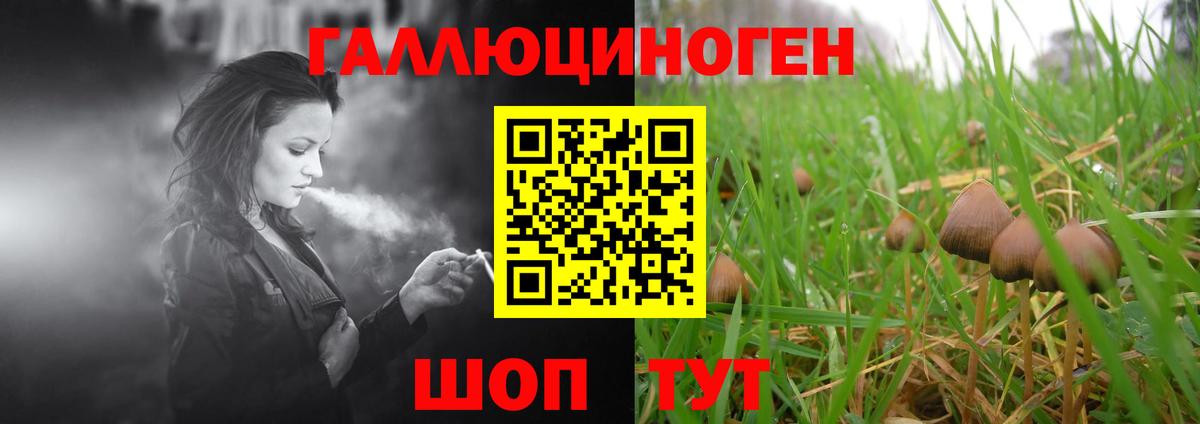 Галлюциногенные грибы Cubensis Урай